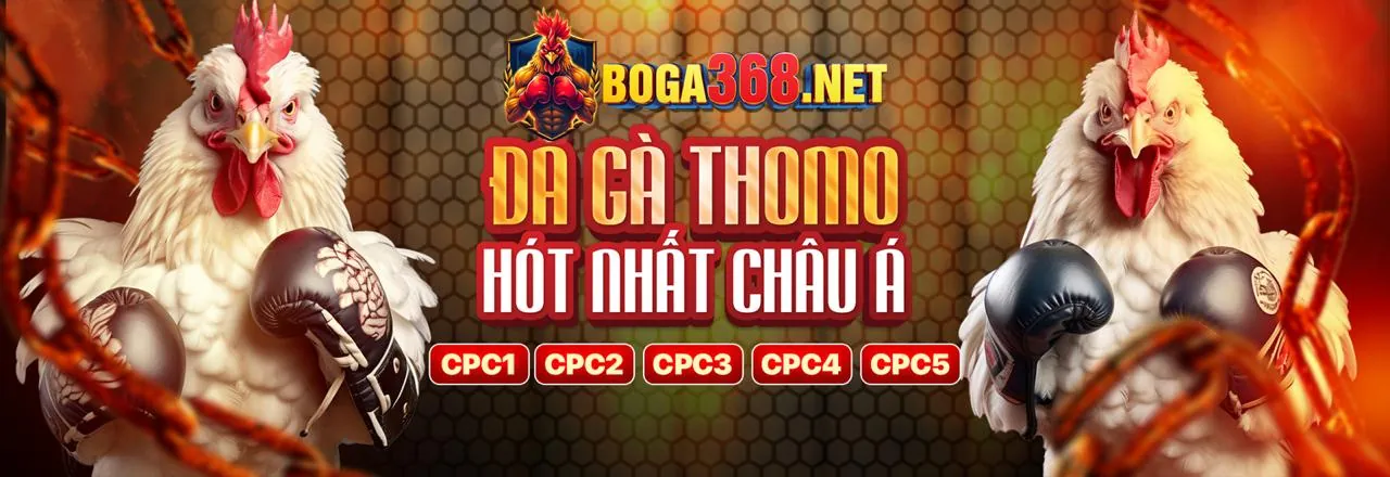 Hình ảnh cá cược thể thao tại onebox63 trang chủ chính thức